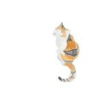 透明水彩 - 三毛猫 -（個別スタンプ：7）