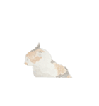 透明水彩 - 三毛猫 -（個別スタンプ：8）