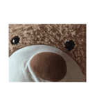 アドオンazあzxc（個別スタンプ：5）