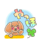 わんこともだち（個別スタンプ：9）