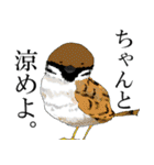 愉快な鳥の仲間達（個別スタンプ：35）