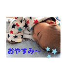 そうまるのすたんぷ2.（個別スタンプ：2）