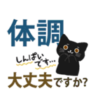 大人かわいい毎日使いたくなる黒猫6（個別スタンプ：29）