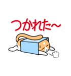 ほしにゃん（ネコちゃん）の箱遊び（個別スタンプ：28）