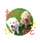 殿若12（個別スタンプ：1）