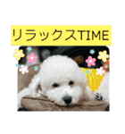 殿若12（個別スタンプ：6）