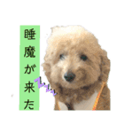 殿若12（個別スタンプ：9）