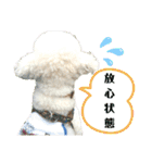 殿若12（個別スタンプ：10）