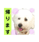 殿若12（個別スタンプ：11）