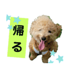 殿若12（個別スタンプ：12）