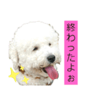 殿若12（個別スタンプ：13）