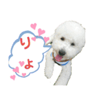 殿若12（個別スタンプ：17）