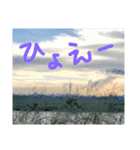 殿若12（個別スタンプ：22）