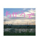 殿若12（個別スタンプ：24）