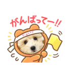 トイプードル 〜LULU〜（個別スタンプ：32）