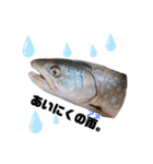 北海道釣り魚スタンプ（個別スタンプ：5）