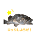 北海道釣り魚スタンプ（個別スタンプ：8）