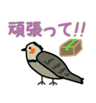 鳥飼い界隈で話題のスタンプ（個別スタンプ：13）