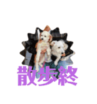 youmoco 4（個別スタンプ：13）