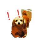 youmoco 4（個別スタンプ：17）