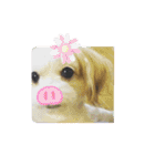 youmoco 4（個別スタンプ：20）
