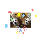 youmoco 4（個別スタンプ：23）