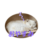 ふうた＆りら part2（個別スタンプ：1）