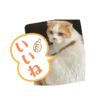 ふうた＆りら part2（個別スタンプ：2）