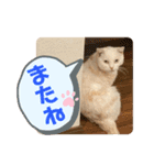 ふうた＆りら part2（個別スタンプ：3）