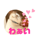 ふうた＆りら part2（個別スタンプ：6）