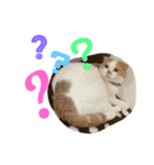 ふうた＆りら part2（個別スタンプ：10）