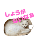 ふうた＆りら part2（個別スタンプ：11）