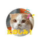 ふうた＆りら part2（個別スタンプ：12）