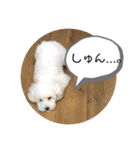 MAME  mania（個別スタンプ：5）