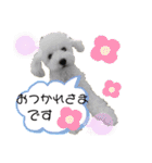 MAME  mania（個別スタンプ：6）