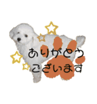 MAME  mania（個別スタンプ：7）