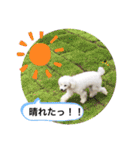 MAME  mania（個別スタンプ：10）