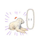 MAME  mania（個別スタンプ：11）