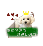 MAME  mania（個別スタンプ：18）