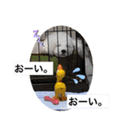 MAME  mania（個別スタンプ：24）