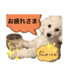 MAME  mania（個別スタンプ：28）