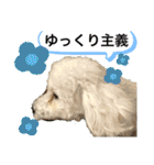 MAME  mania（個別スタンプ：30）