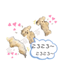 MAME  mania（個別スタンプ：31）