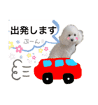 MAME  mania（個別スタンプ：34）