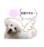 MAME  mania（個別スタンプ：37）