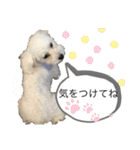 MAME  mania（個別スタンプ：38）