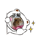ハムスターのチップ君だよ（個別スタンプ：9）