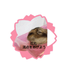 ハムスターのチップ君だよ（個別スタンプ：10）