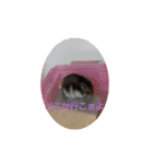 ハムスターのチップ君だよ（個別スタンプ：21）