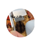ハムスターのチップ君だよ（個別スタンプ：22）